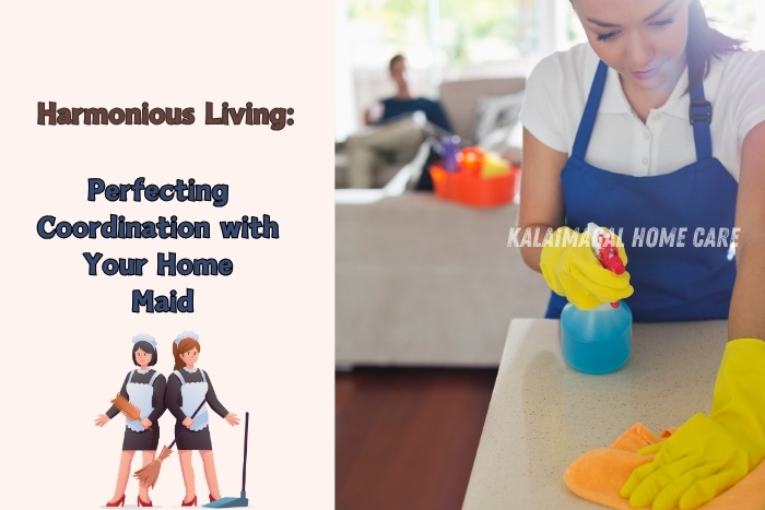 A professional maid in a blue apron and yellow gloves cleaning a countertop with a spray bottle, illustrating the importance of harmonious living and perfecting coordination with your home maid. Kalaimagal Home Care provides expert housekeeping services in Coimbatore to ensure a clean and organized home