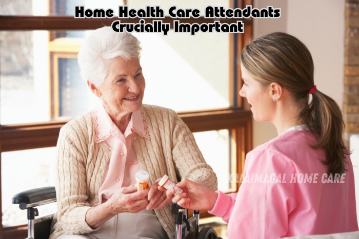 Home health care attendant assisting an elderly woman with her medication, emphasizing the importance of home care support. Kalaimagal Home Care in Coimbatore provides reliable home health care attendants to assist with daily medical needs, ensuring comfort and safety for seniors